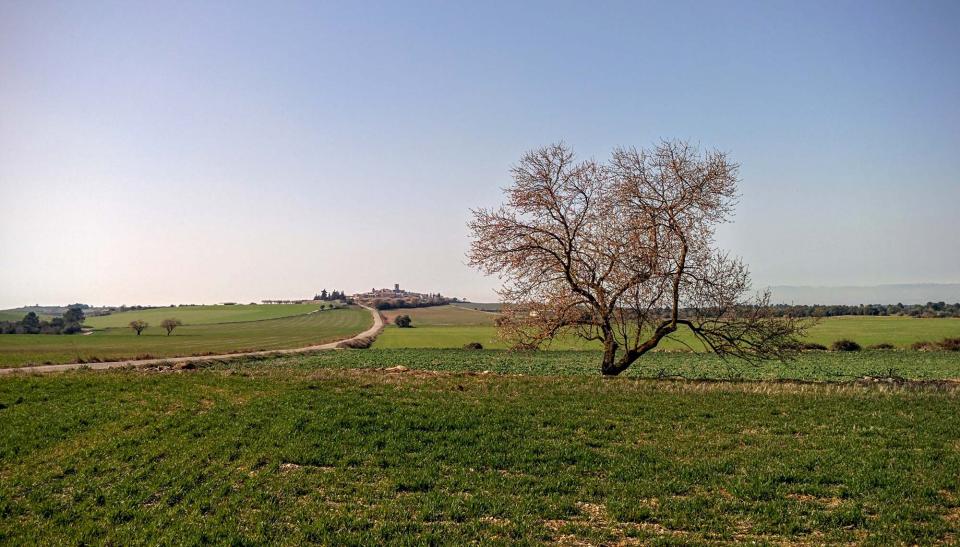 21.2.2016 vista est  L'Ametlla de Segarra -  Ramon Sunyer