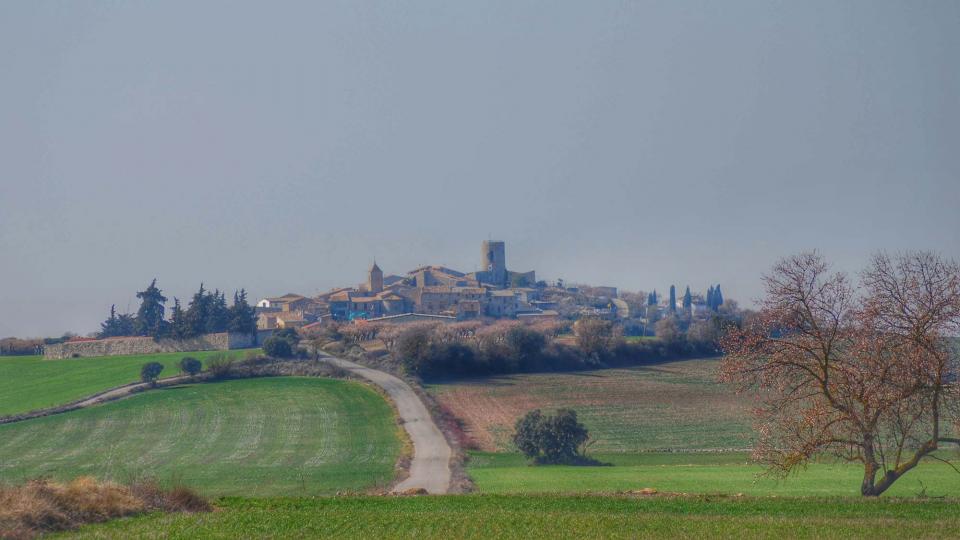 21.2.2016 vista est  L'Ametlla de Segarra -  Ramon Sunyer