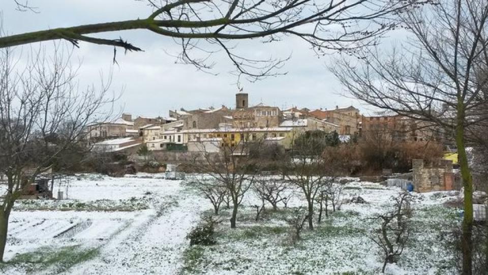 27.2.2016   Tarroja de Segarra -  Jm Santesmasses