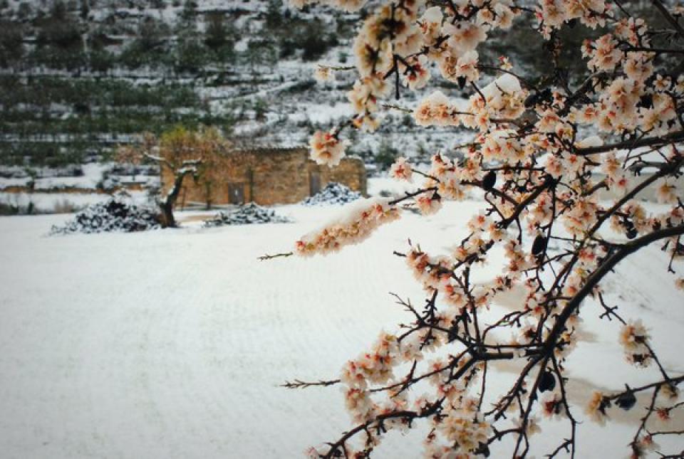 27.2.2016   Vallbona de les Monges -  Minerva Sellès