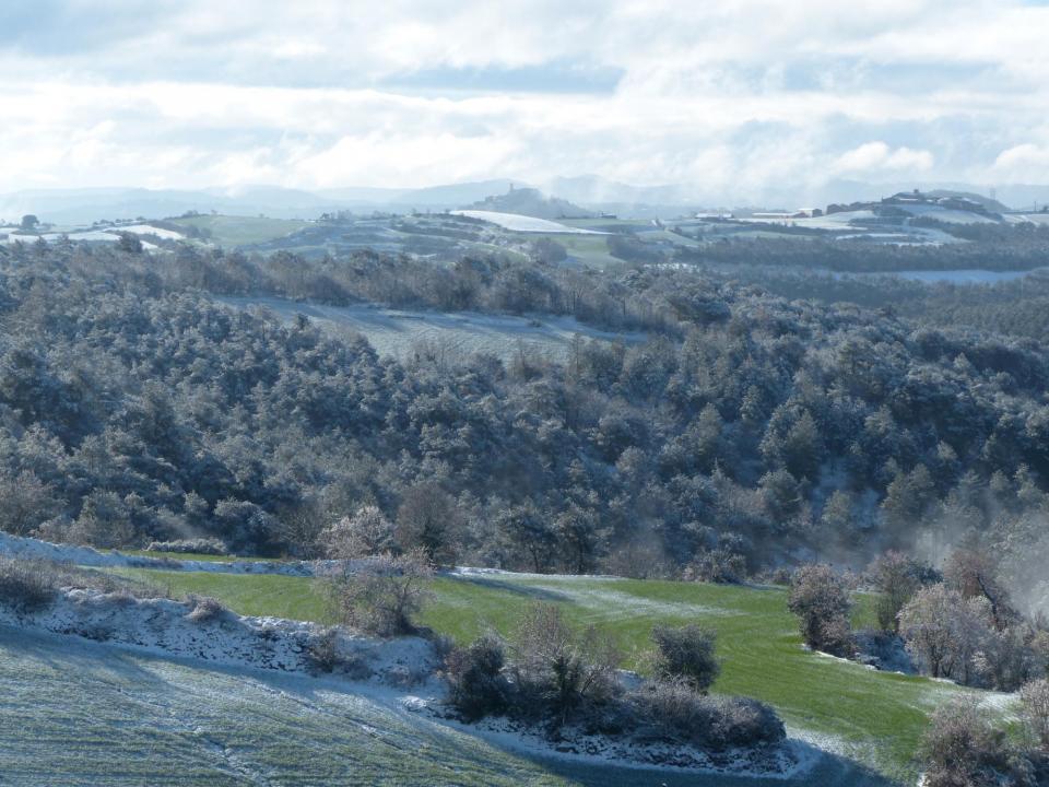 28.2.2016 Panoràmica dels boscos de La Tallada amb Argençola al fons.  La Tallada -  Daniel Espejo Fraga