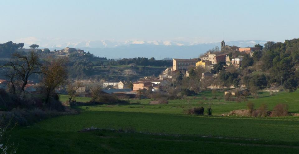 29.2.2016 Paisatge, ja amb la neu fosa, a l'endemà de la nevadeta del cap de setmana del 27 al 29 de febrer  Freixenet de Segarra -  Daniel Espejo Fraga