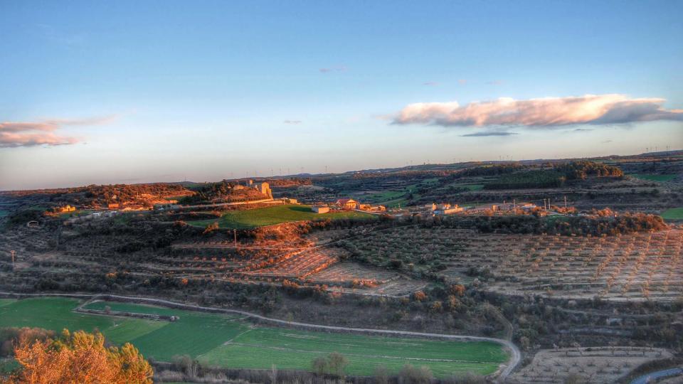 5.3.2016 vista  Montornès de Segarra -  Ramon Sunyer