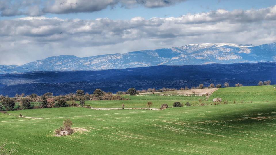 6 de Març de 2016 paisatge  Vicfred -  Ramon Sunyer