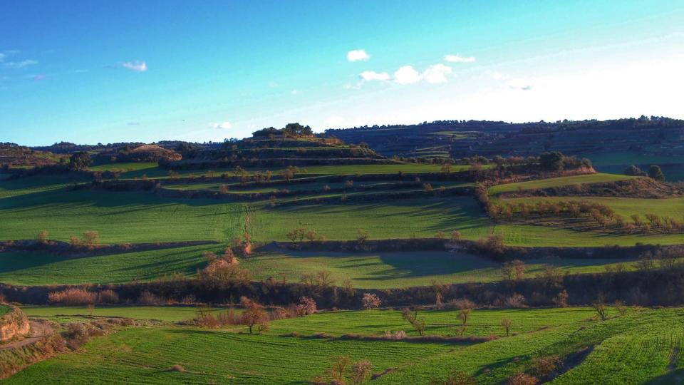 6 de Març de 2016 paisatge  La Guàrdia Lada -  Ramon Sunyer