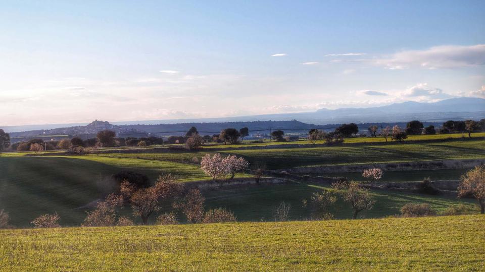 6.3.2016 paisatge  Granyena de Segarra -  Ramon Sunyer