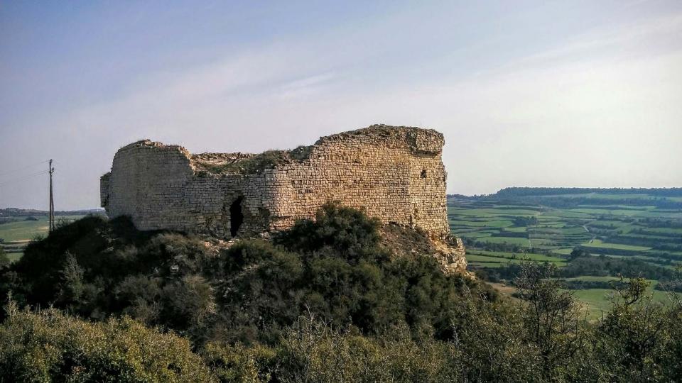 21 de Febrer de 2016 Castell Guàrdia Lada gòtic s XIV  La Guàrdia Lada -  Ramon Sunyer