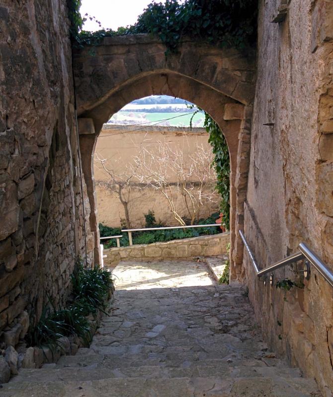 21.2.2016 portal del castell  La Guàrdia Lada -  Ramon Sunyer