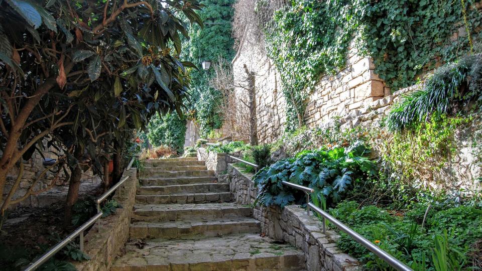 21.2.2016 carrer del castell  La Guàrdia Lada -  Ramon Sunyer