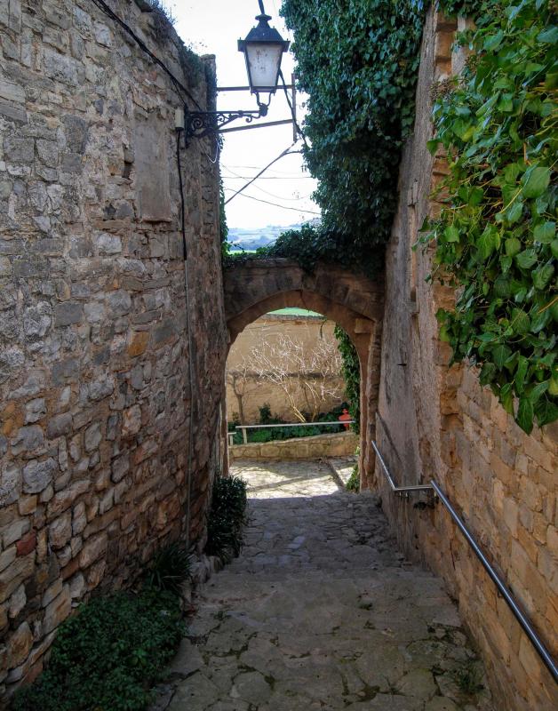 21 de Febrer de 2016 portal del castell  La Guàrdia Lada -  Ramon Sunyer