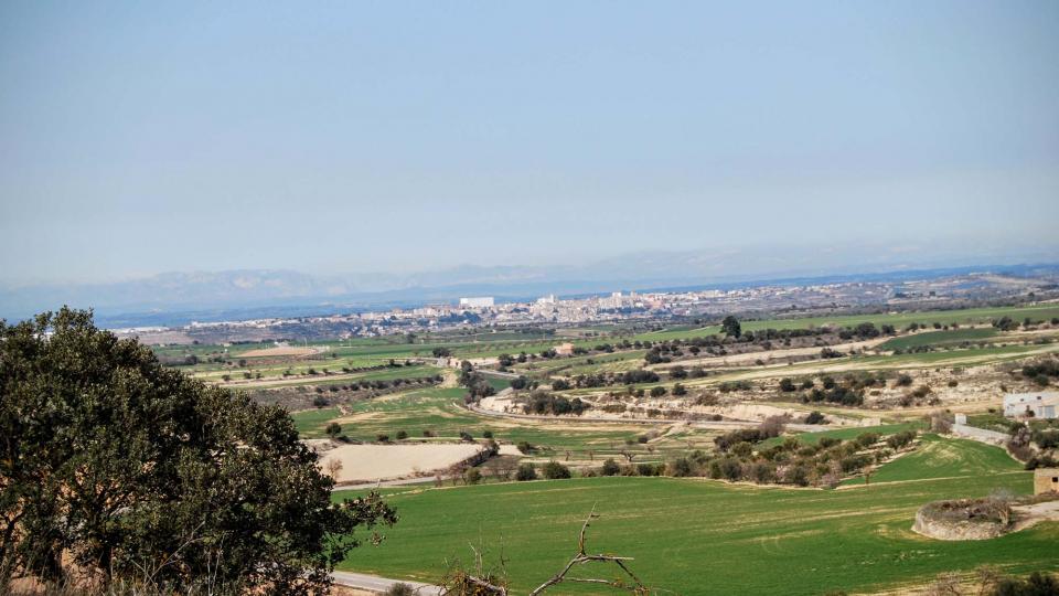 21 de Febrer de 2016 Vista des de Gramuntell  Cervera -  Ramon Sunyer