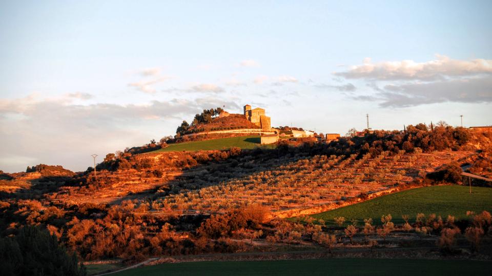 5.3.2016 vista  Montornès de Segarra -  Ramon Sunyer