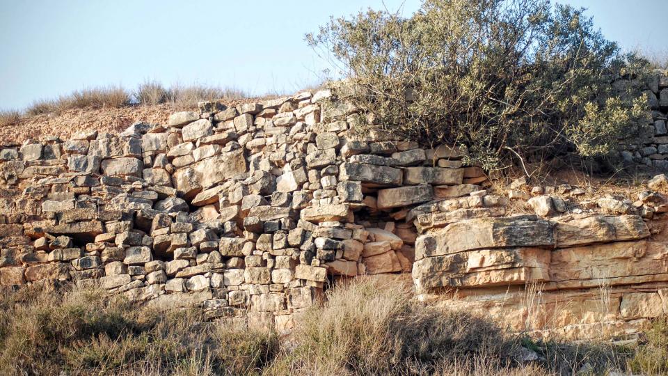 13.3.2016 marges de pedra seca  La Móra -  Ramon Sunyer