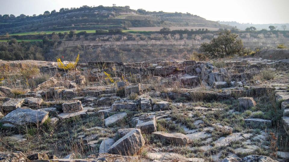 13.3.2016 Jaciment íber Pla de les Tenalles  La Móra -  Ramon Sunyer