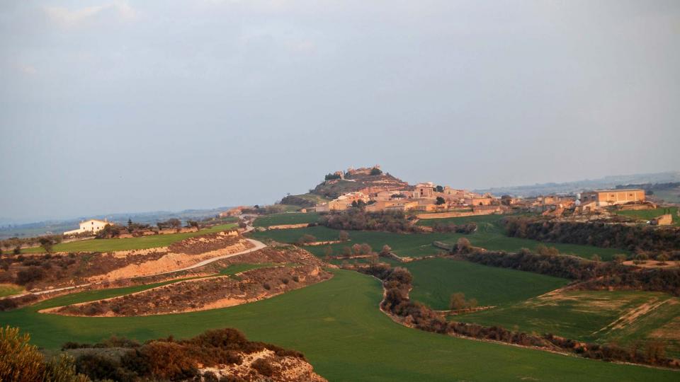 13.3.2016 vista de ponent  Granyena de Segarra -  Ramon Sunyer