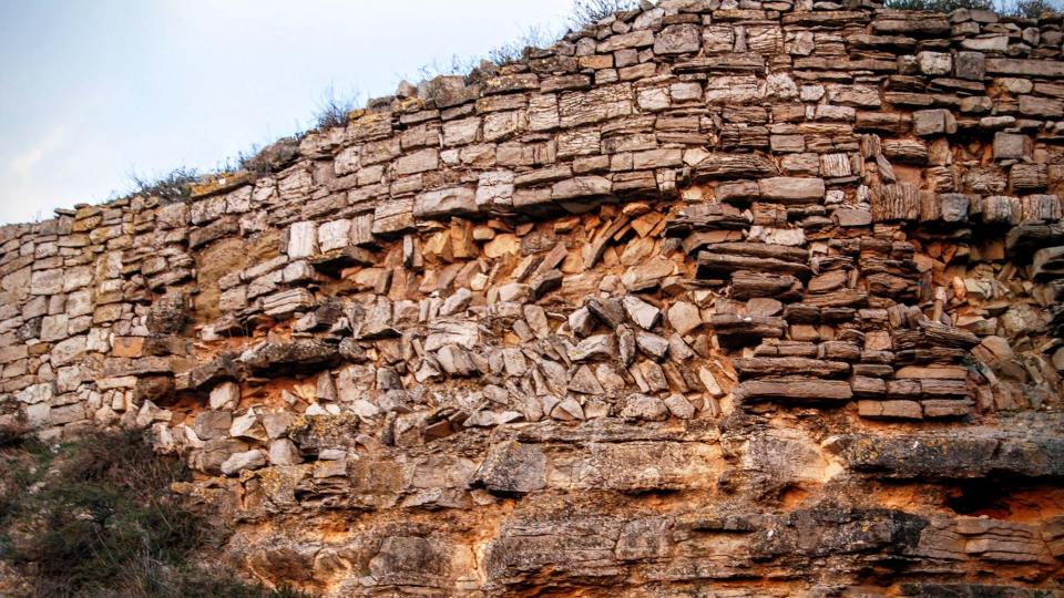 13.3.2016 Castell templer  Granyena de Segarra -  Ramon Sunyer