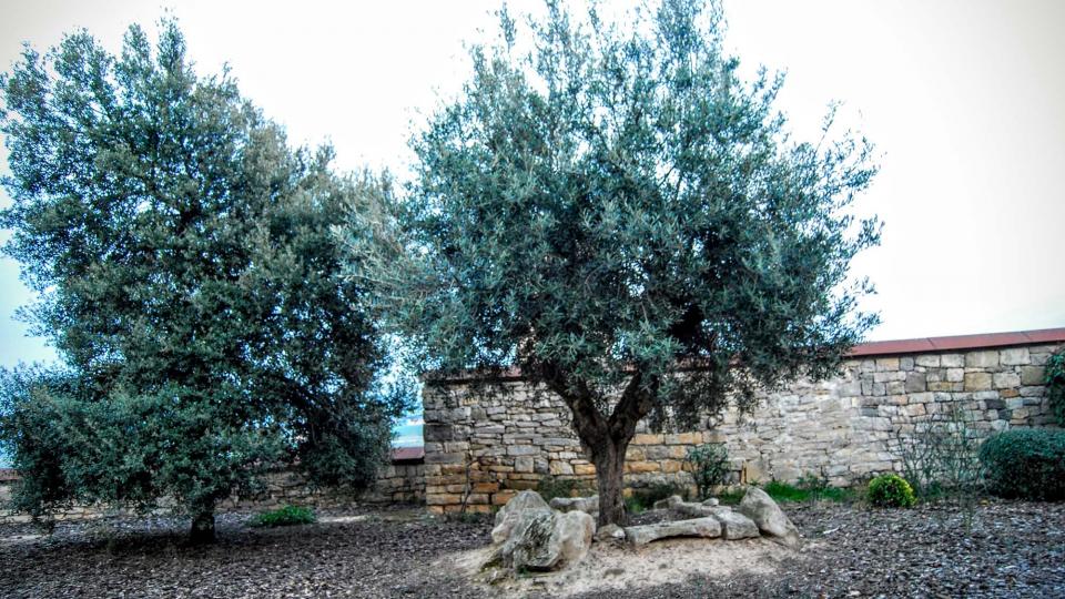 13.3.2016 plaça del castell  Granyena de Segarra -  Ramon Sunyer