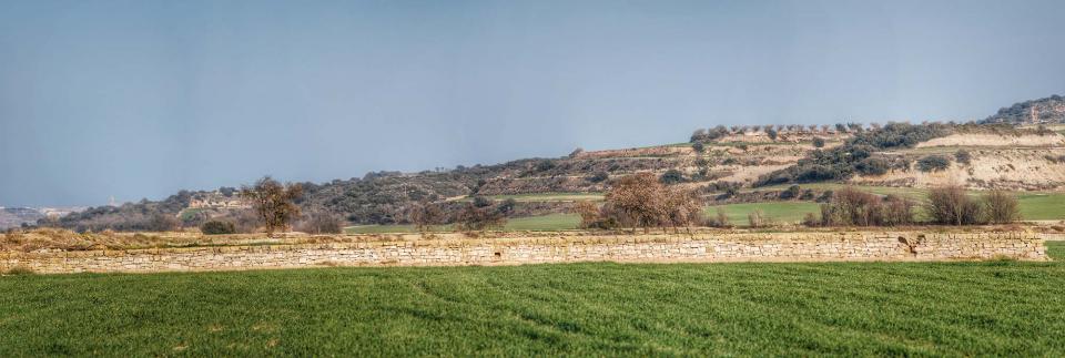 13.3.2016 Les parets de pedra seca embelleixen els marges de la segarra  La Móra -  Ramon Sunyer