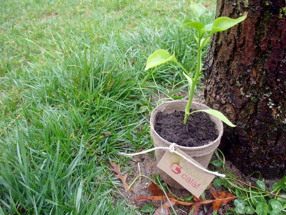 Tot a punt per celebrar diumenge la primera EcoFira de Calaf 8.4.2016 Tot a punt per celebrar diumenge la primera EcoFira de Calaf Calaf - Ajuntament de Calaf