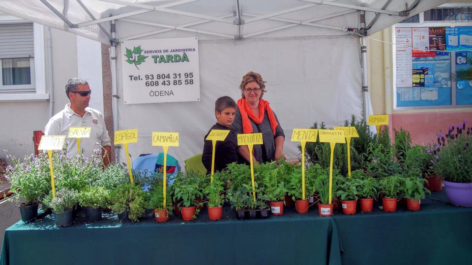 10 de Abril de 2016 jardineria Tardà  Calaf -  Ramon Sunyer