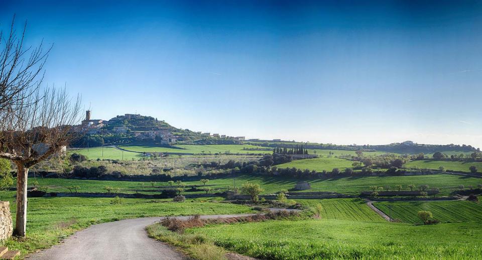 2.4.2016 Paisatge  Granyena de Segarra -  Ramon Sunyer