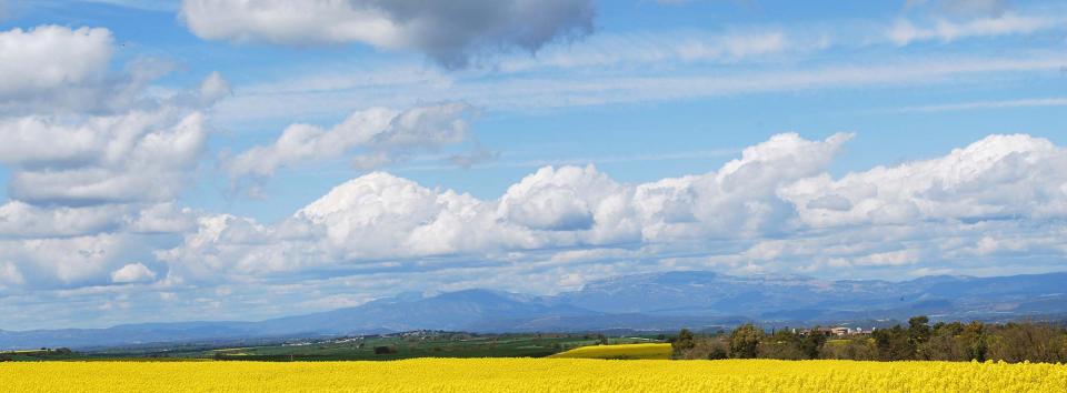 17.4.2016 Plans d'Engoles  Castellfollit de Riubregós -  Ramon Sunyer