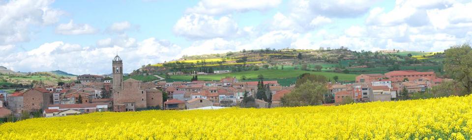 17.4.2016   Els Prats de Rei -  Ramon Sunyer