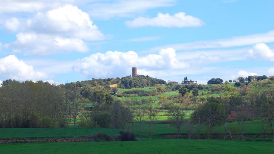 17 de Abril de 2016 Paisatge  La Manresana -  Ramon Sunyer