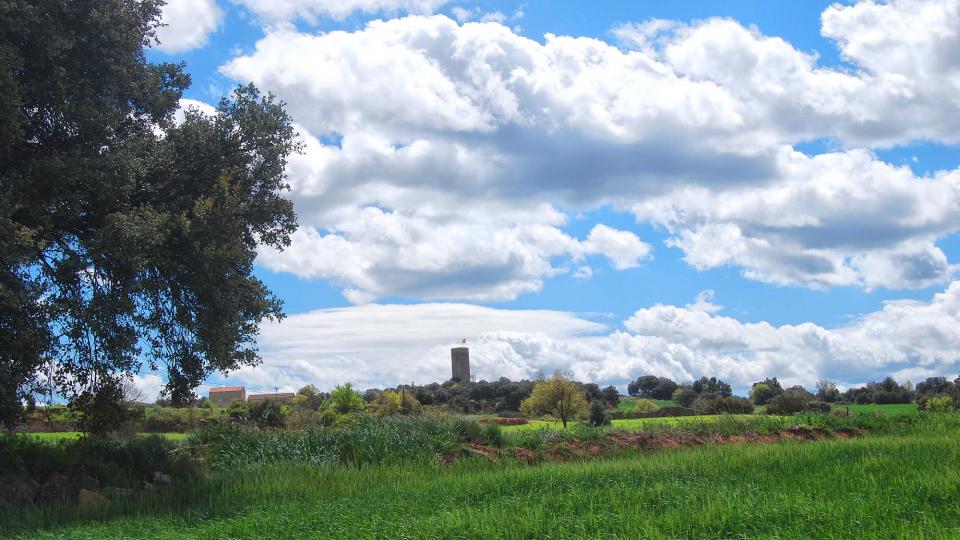 17 de Abril de 2016 Paisatge  La Manresana -  Ramon Sunyer