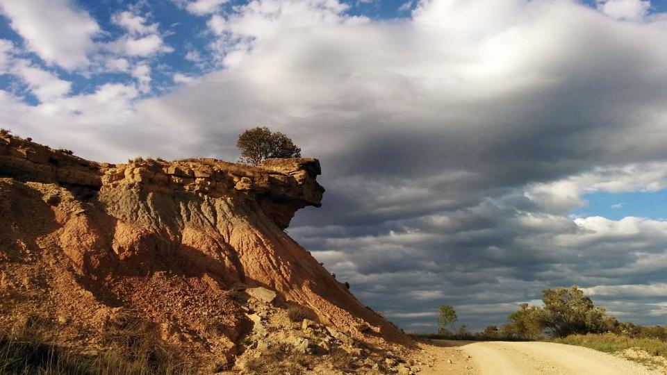 10 de Abril de 2016 Paisatge  Guissona -  Ramon Sunyer