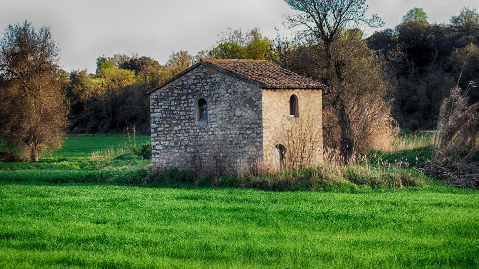 10.4.2016   Tarroja de Segarra -  Ramon Sunyer