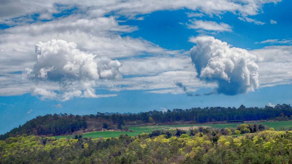 10 de Abril de 2016 Paisatge  Conill -  Ramon Sunyer