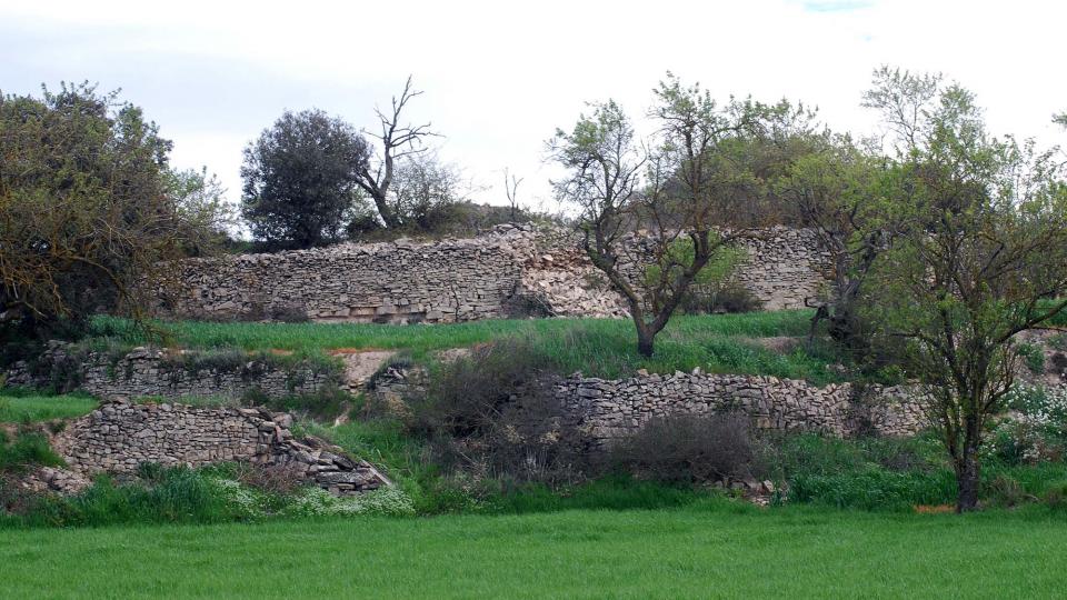 10 de Abril de 2016 Paisatge  Viver de Segarra -  Ramon Sunyer