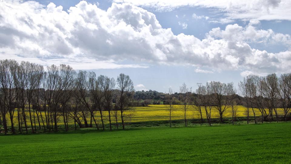 10 de Abril de 2016 Paisatge  Sant Pere del Vim -  Ramon Sunyer