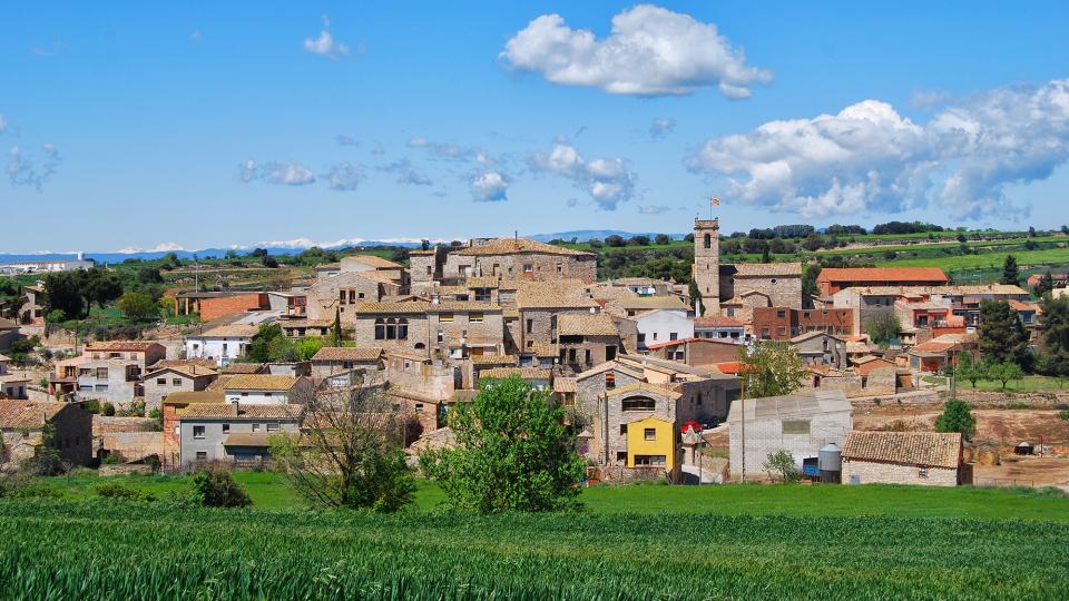 24.4.2016 vista a la primavera  Sant Guim de la Plana -  Ramon Sunyer