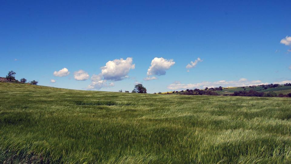 24 de Abril de 2016 Paisatge  Sant Guim de la Plana -  Ramon Sunyer