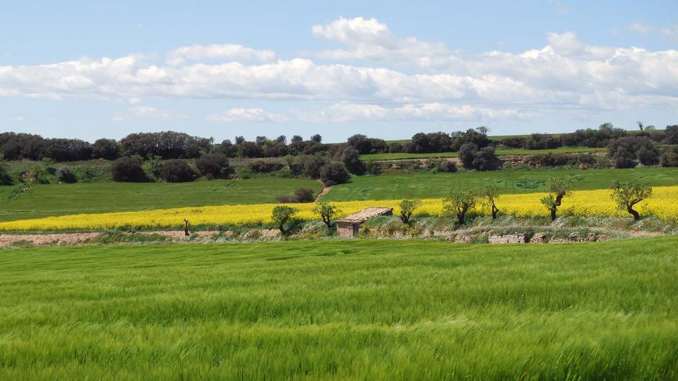 24.4.2016 Paisatge  Sant Guim de la Plana -  Ramon Sunyer