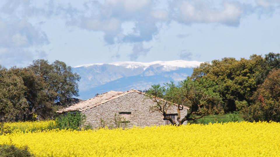 24 de Abril de 2016 cabana  Sant Ramon -  Ramon Sunyer