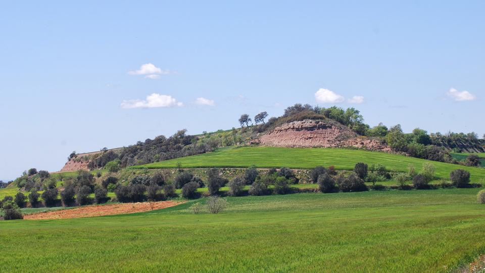 24 de Abril de 2016 Paisatge  Sant Ramon -  Ramon Sunyer