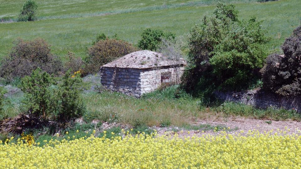 24 de Abril de 2016 cabana de falsa cúpula  Sant Ramon -  Ramon Sunyer