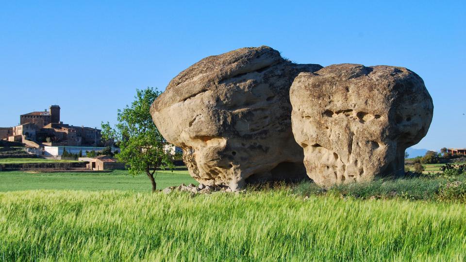 24.4.2016 pallers de pedra  L'Aranyó -  Ramon Sunyer