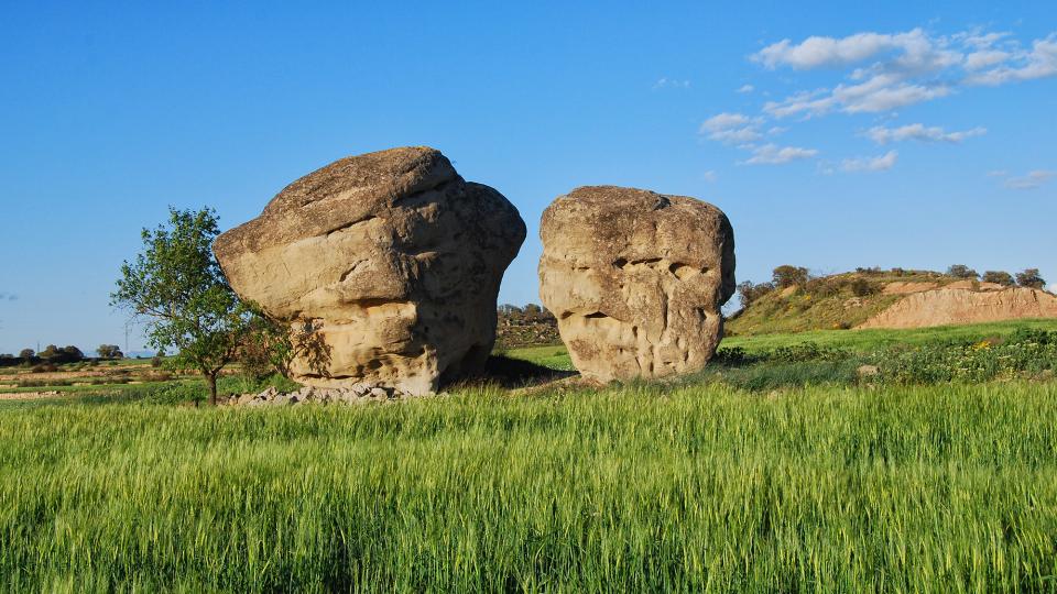 24.4.2016 pallers de pedra  L'Aranyó -  Ramon Sunyer