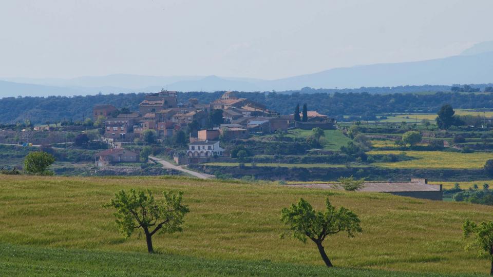 28.4.2016 Paisatge  La Morana -  Ramon Sunyer