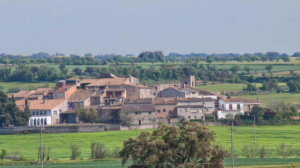 28 de Abril de 2016 Paisatge  Bellveí -  Ramon Sunyer