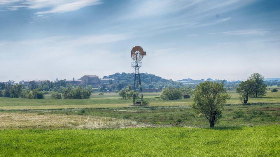 28.4.2016 Paisatge  Sedó -  Ramon Sunyer