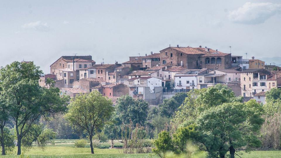 28 de Abril de 2016 Paisatge  Sedó -  Ramon Sunyer