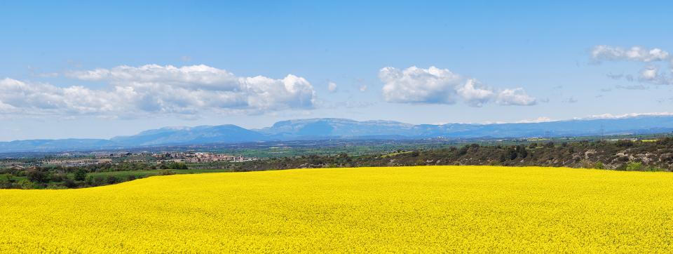 26.4.2016   Sant Ramon -  Ramon Sunyer