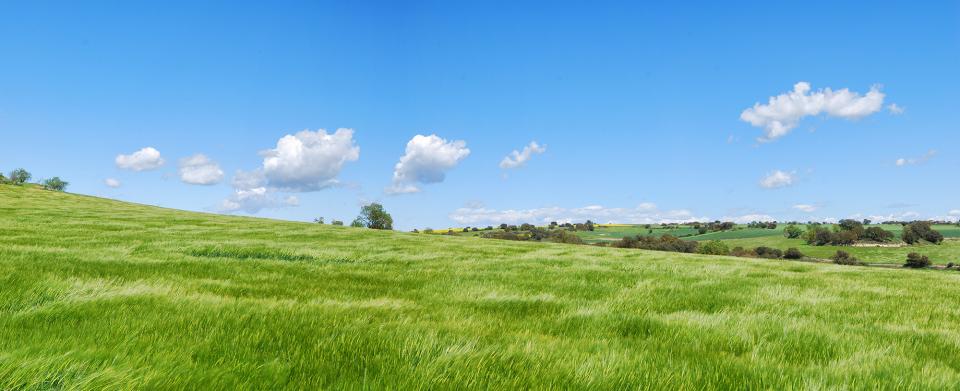 26.4.2016   Sant Guim de la Plana -  Ramon Sunyer