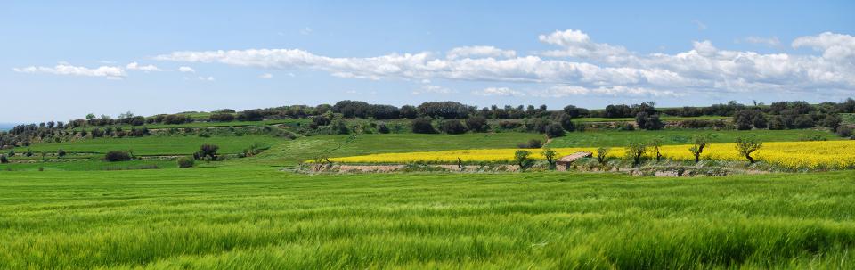 26.4.2016   Sant Guim de la Plana -  Ramon Sunyer