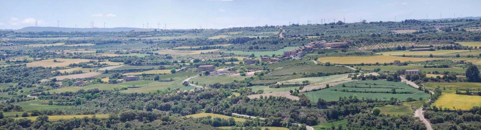 20.5.2016 vall de l'ondara  La Curullada -  Ramon Sunyer